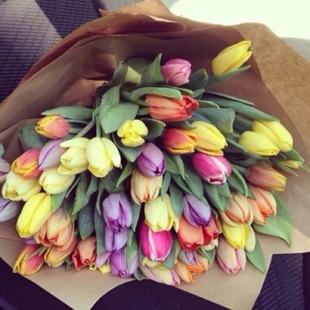 Meet your Posher, Anna